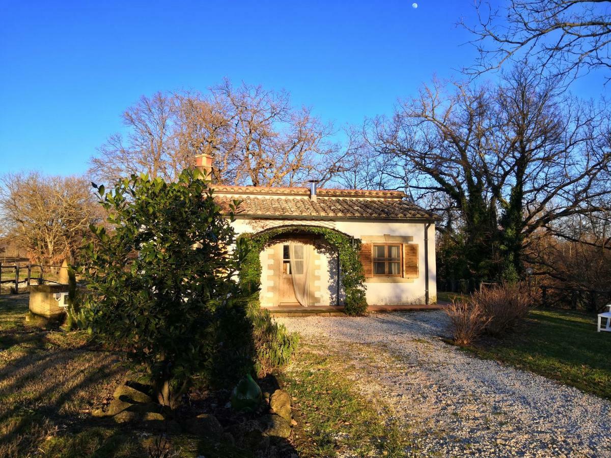 Maremma Country Chic Le Ginestre Villa Сована Екстериор снимка