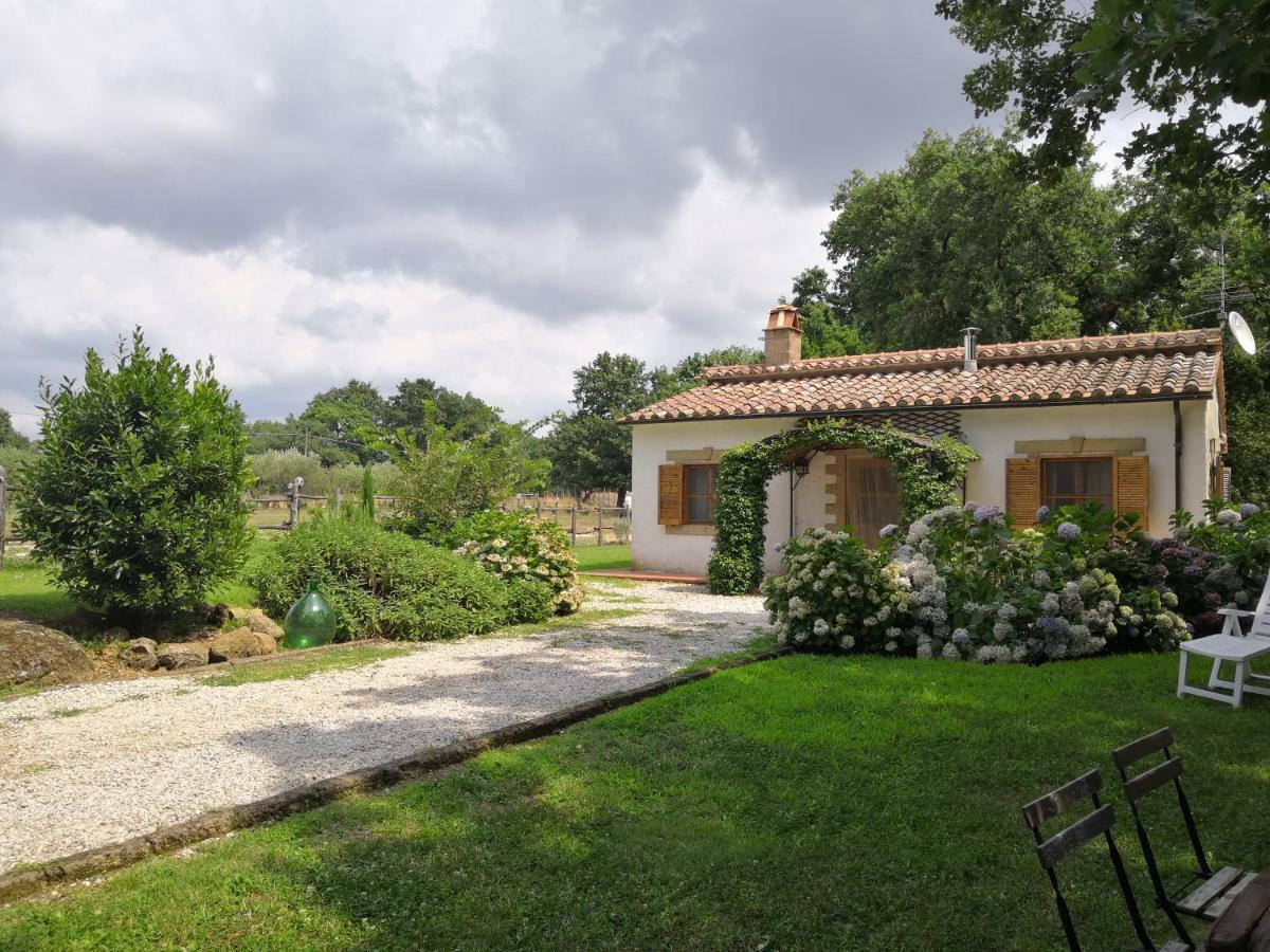 Maremma Country Chic Le Ginestre Villa Сована Екстериор снимка
